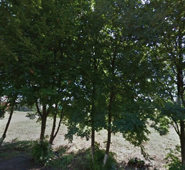 Банкомат Балтийского Банка по адресу проспект Дружбы 11/2